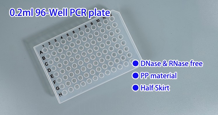 pcr plate