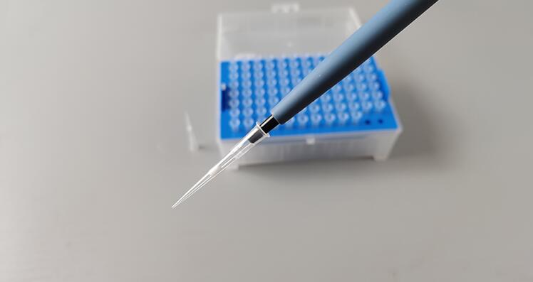 pipette tips