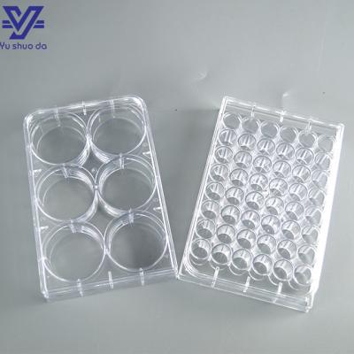6 holes petri dish